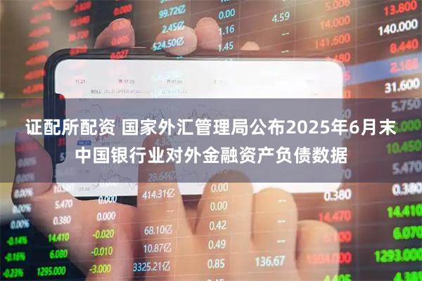 证配所配资 国家外汇管理局公布2025年6月末中国银行业对外金融资产负债数据
